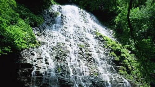 高端独特无人化